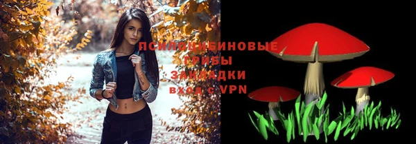 spice Абаза