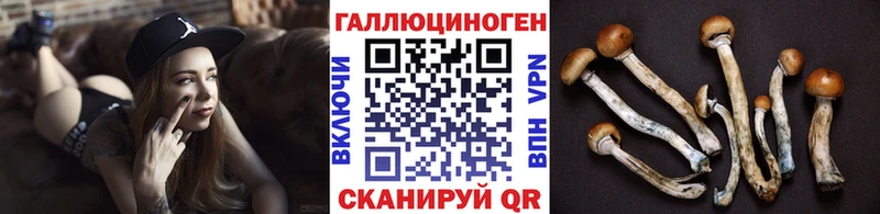 как найти закладки  Арсеньев  Галлюциногенные грибы MAGIC MUSHROOMS 