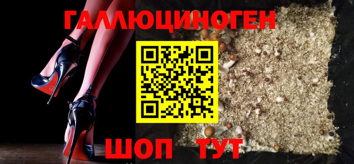 Псилоцибиновые грибы прущие грибы  Вход с VPN  Арсеньев  Галлюциногенные грибы MAGIC MUSHROOMS 