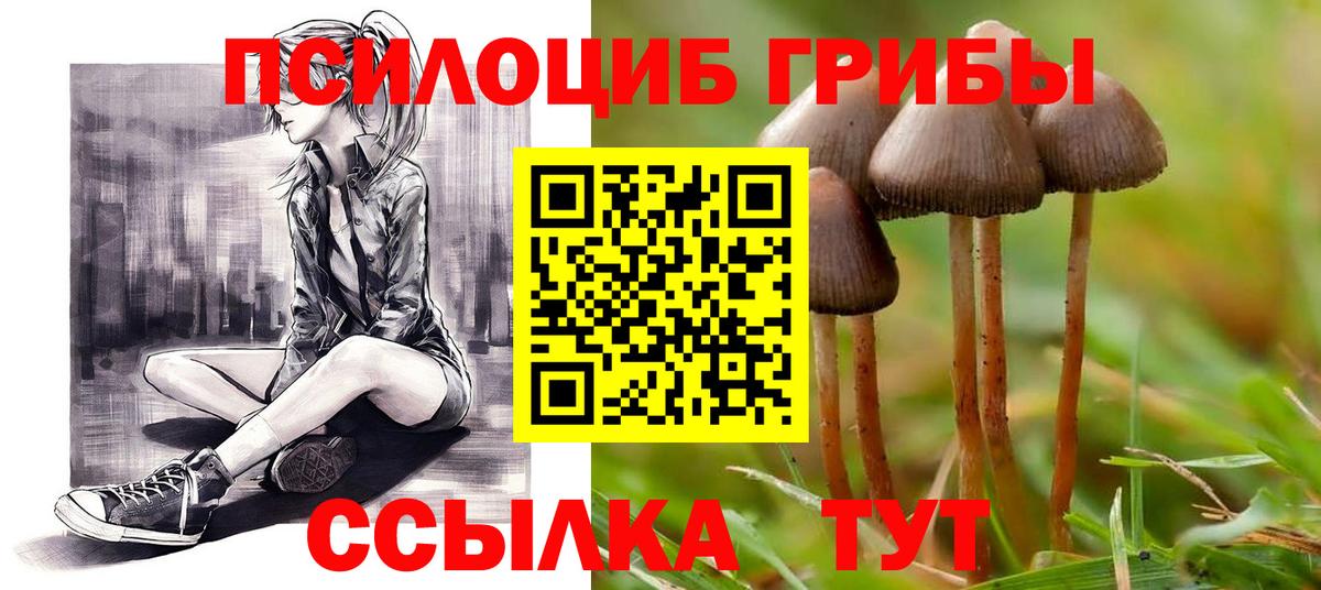 Галлюциногенные грибы MAGIC MUSHROOMS Арсеньев